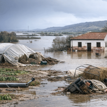 Medidas fiscales y ayudas por las borrascas en Andalucía (2026)